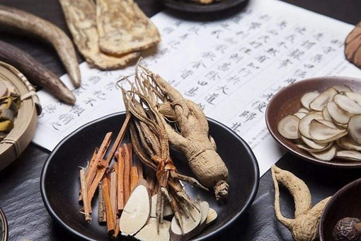 Antiviral Mechanisms of Traditional Chinese Medicine