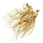 Ginseng