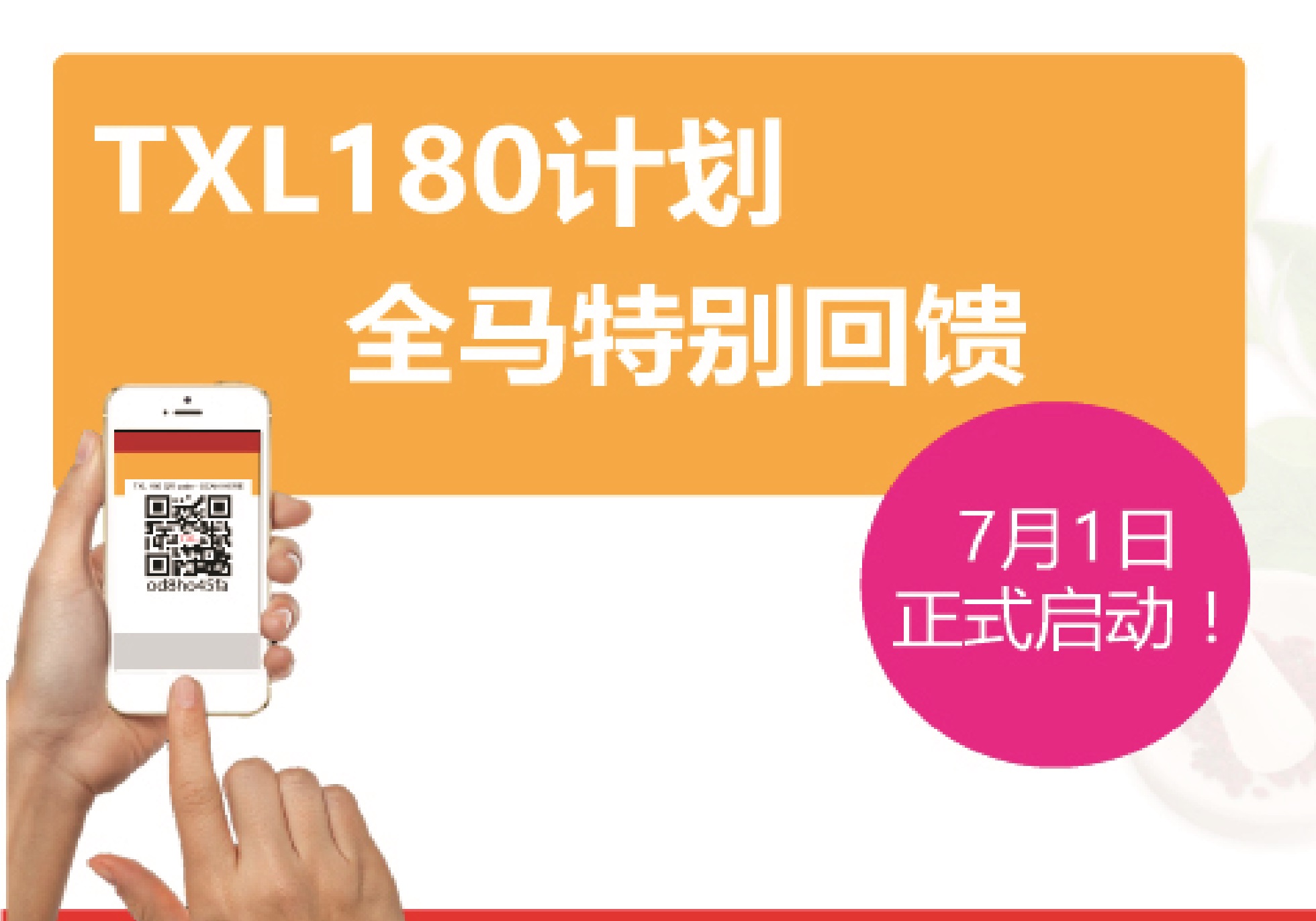 什么是TXL 180计划？